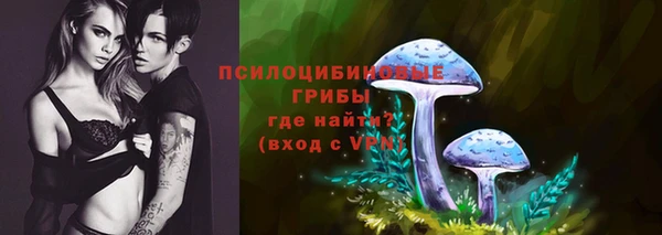а пвп мука Аркадак