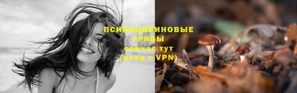а пвп мука Аркадак