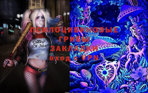 PSILOCYBIN Нягань