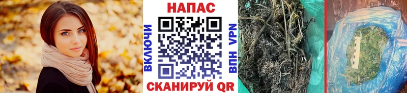 Конопля гибрид Облучье